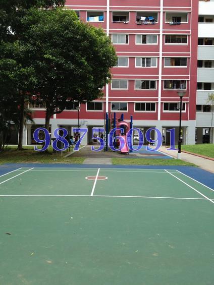 Blk 202 Choa Chu Kang Avenue 1 (Choa Chu Kang), HDB 4 Rooms #146893422